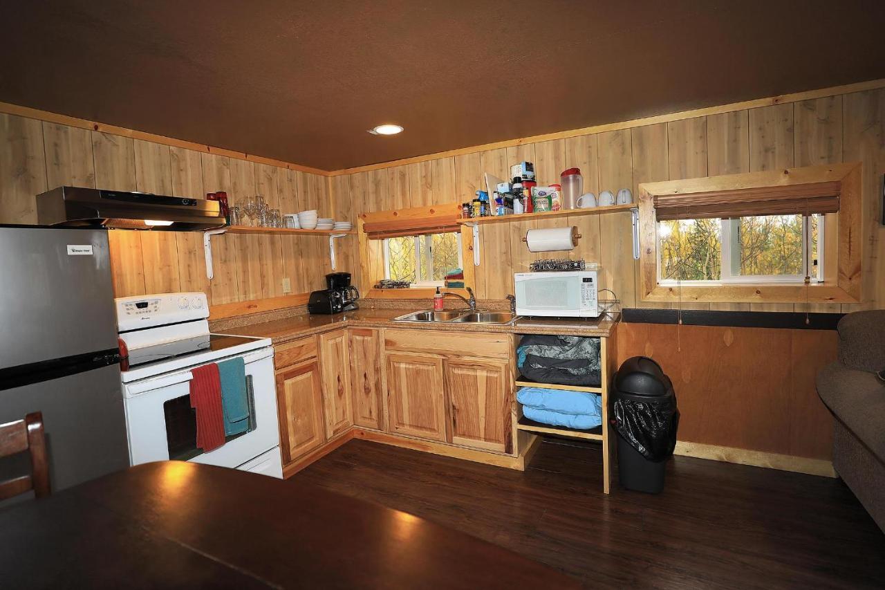 Denali Park View Family Log Cabin Exteriör bild